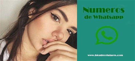 numeros de whatsapp de chicas|¡Números de WhatsApp! Conocer chicas, mujeres y。